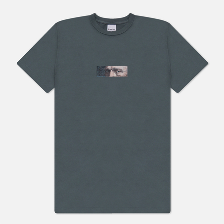 фото Мужская футболка ripndip van nermal, цвет серый, размер s