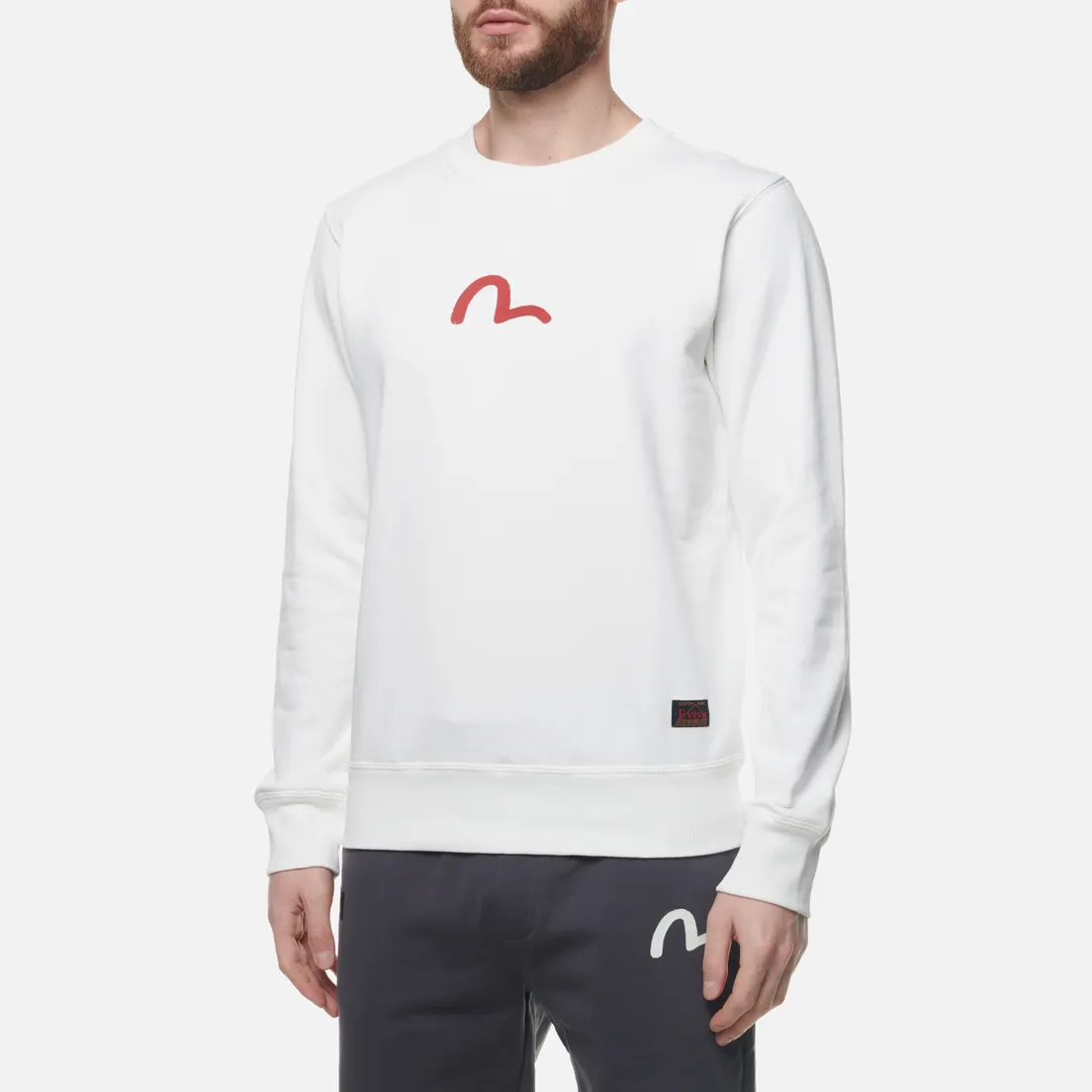 Evisu Мужская толстовка Basic Crew Neck Seagull Print
