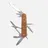 Victorinox