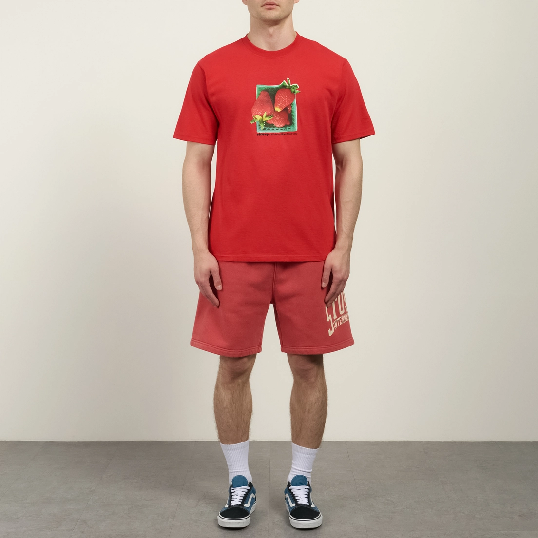 Stussy Мужские шорты Stussy International