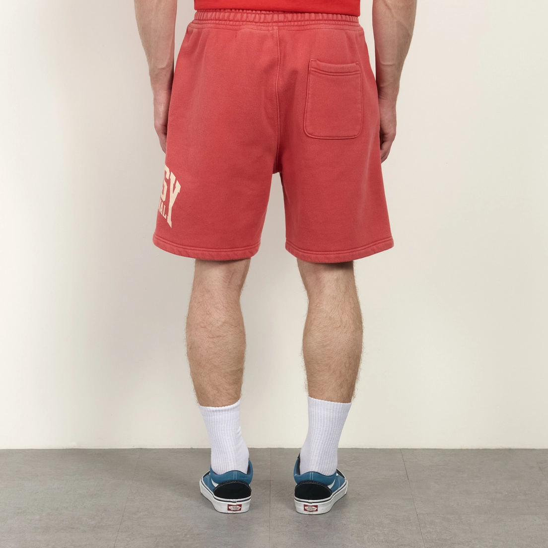 Stussy Мужские шорты Stussy International