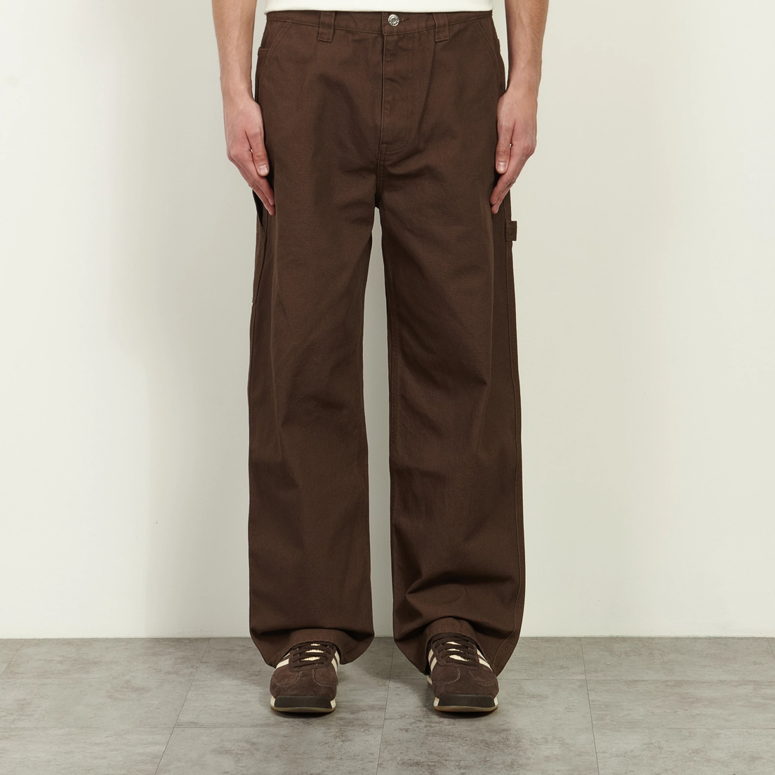 Stussy Мужские брюки Carpenter Canvas