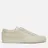 Common Projects