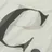 C.P. Company
