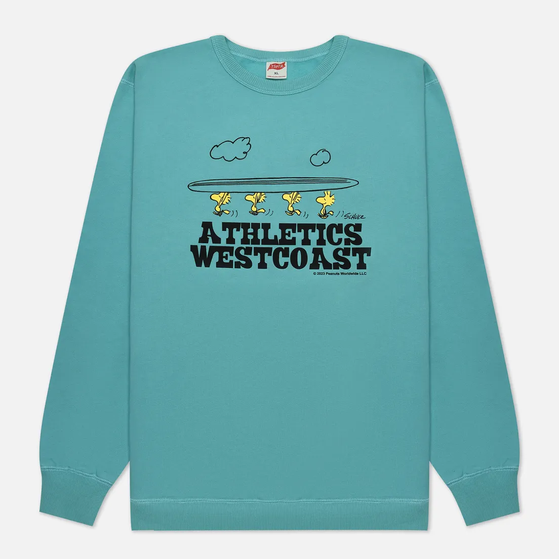 TSPTR Мужская толстовка Surf West