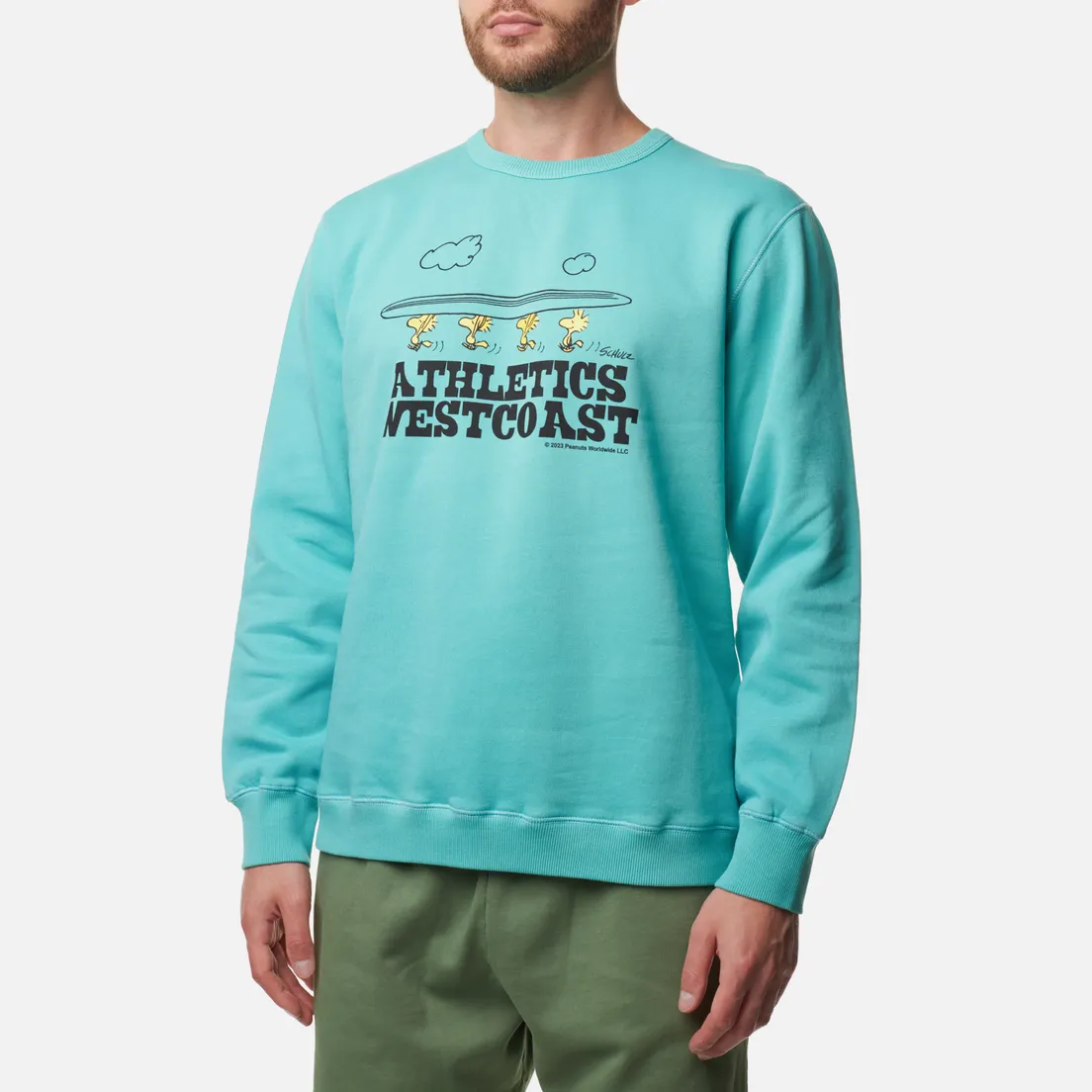 TSPTR Мужская толстовка Surf West
