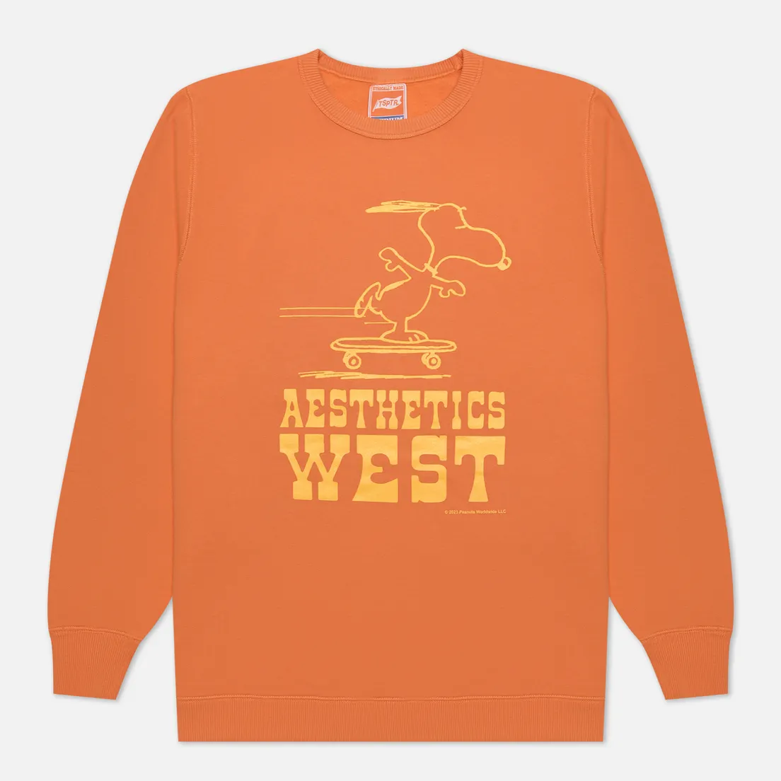 TSPTR Мужская толстовка Skate West