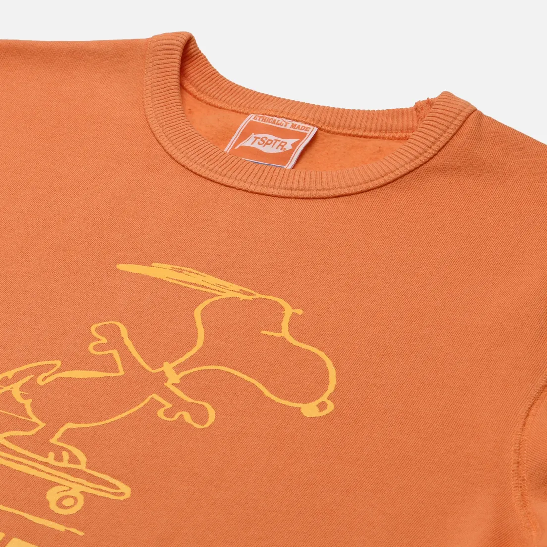 TSPTR Мужская толстовка Skate West