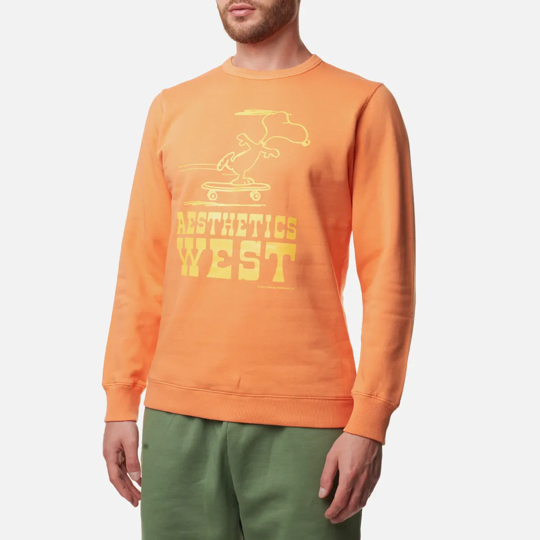 TSPTR Мужская толстовка Skate West
