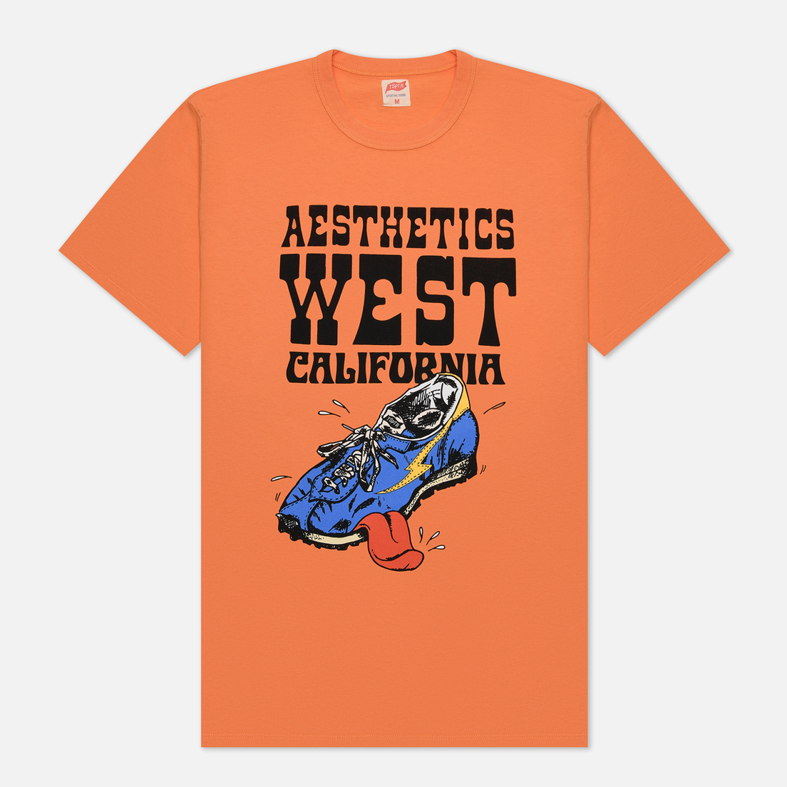 TSPTR Мужская футболка Aesthetics West