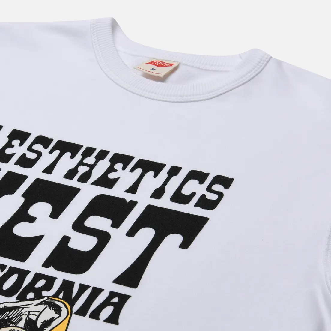 TSPTR Мужская толстовка Aesthetics West