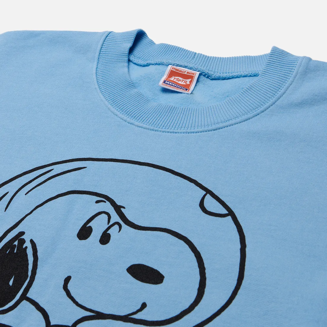 TSPTR Мужская толстовка x Peanuts Astrosnoopy
