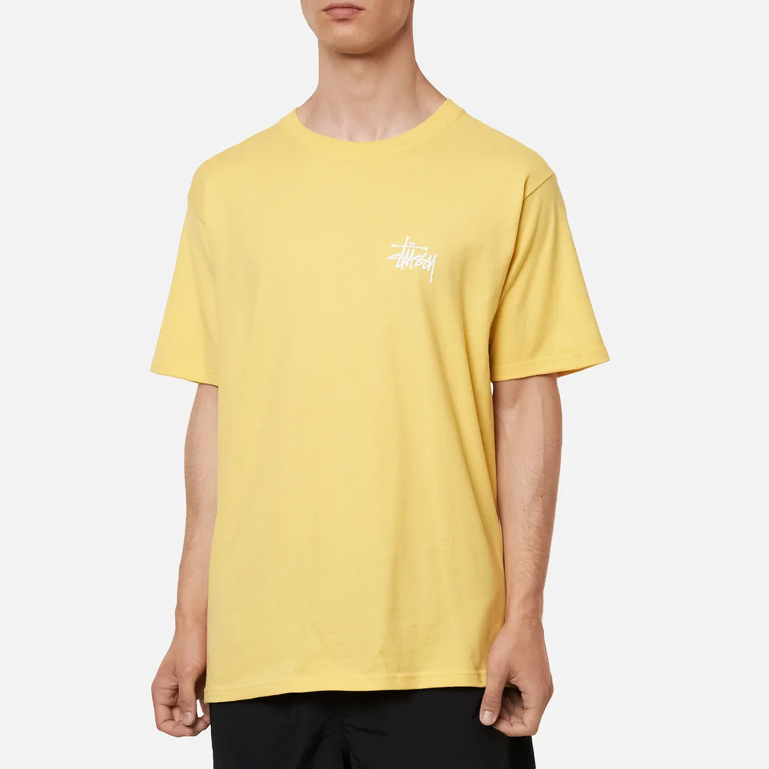 Stussy Мужская футболка Basic