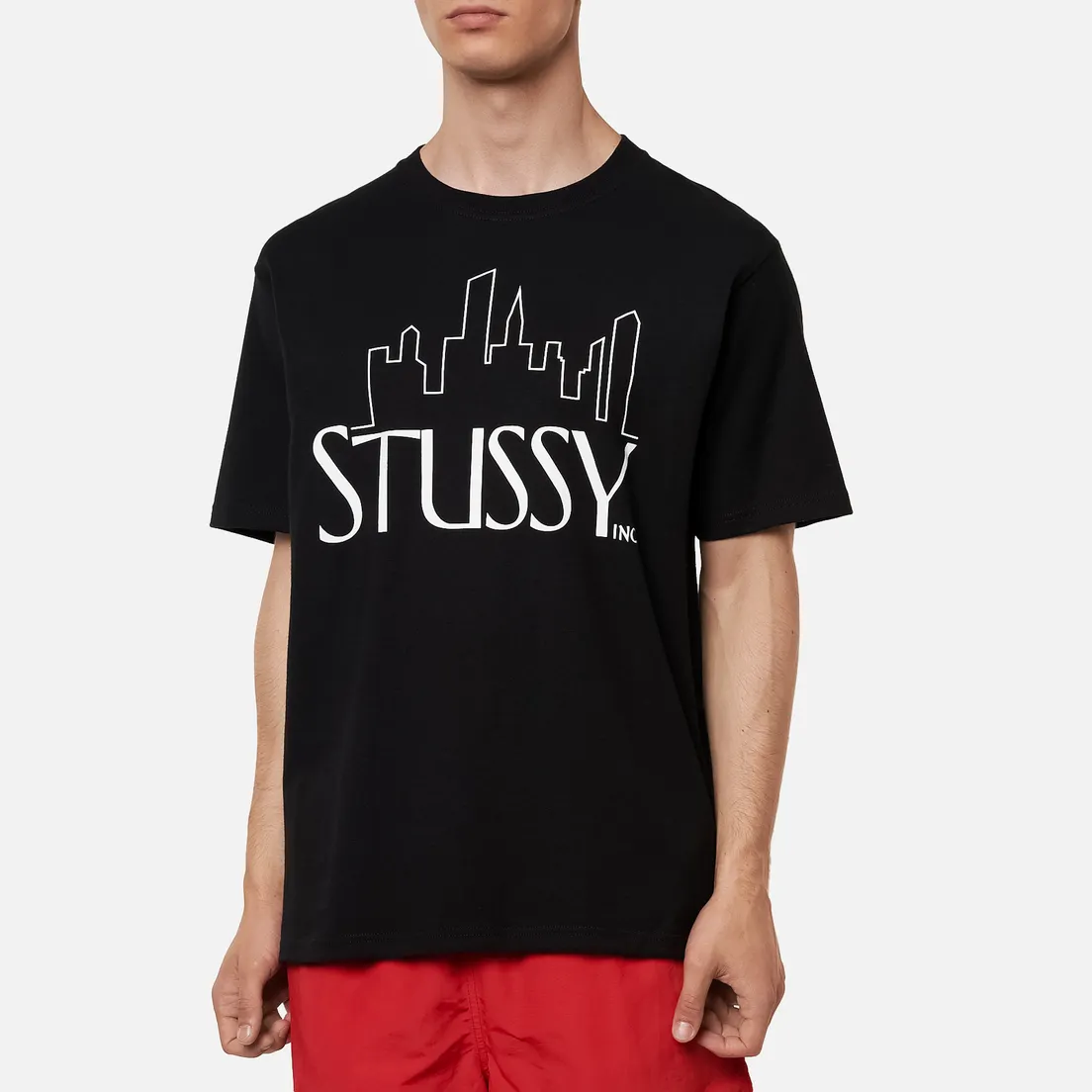 Stussy Мужская футболка Skyline