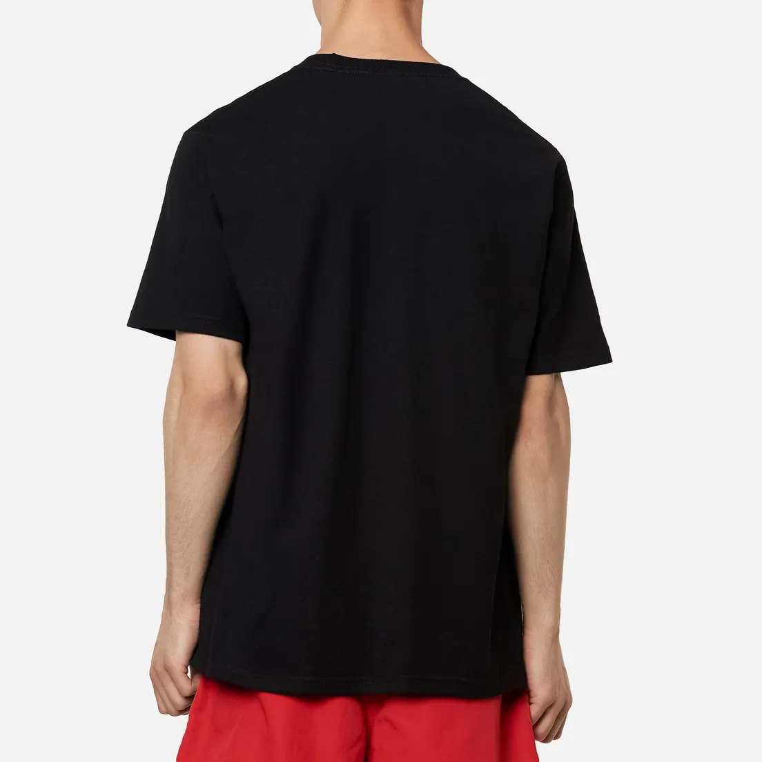 Stussy Мужская футболка Skyline