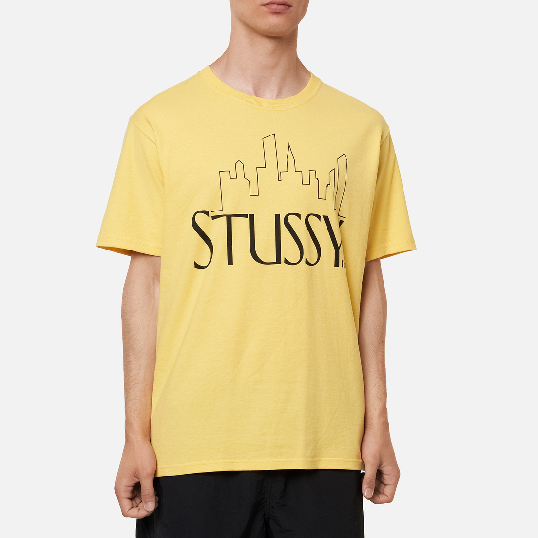 Stussy Мужская футболка Skyline