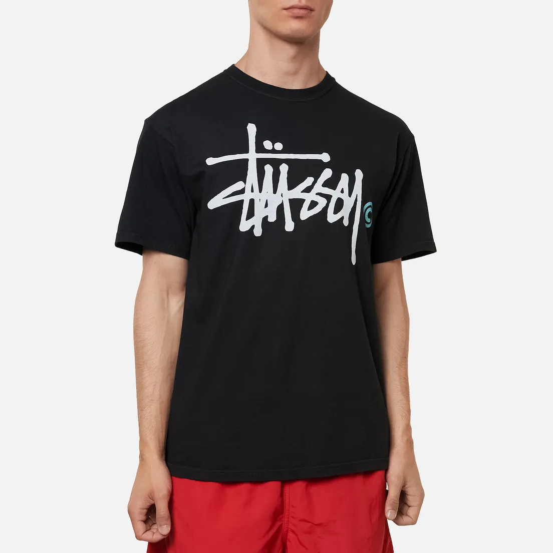 Stussy Мужская футболка Basic Logo Pigment Dyed