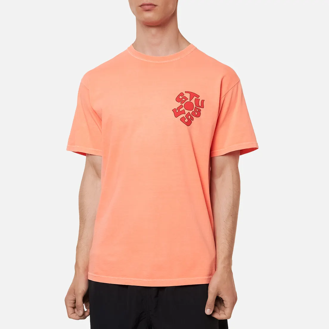 Stussy Мужская футболка Sprout Pigment Dyed