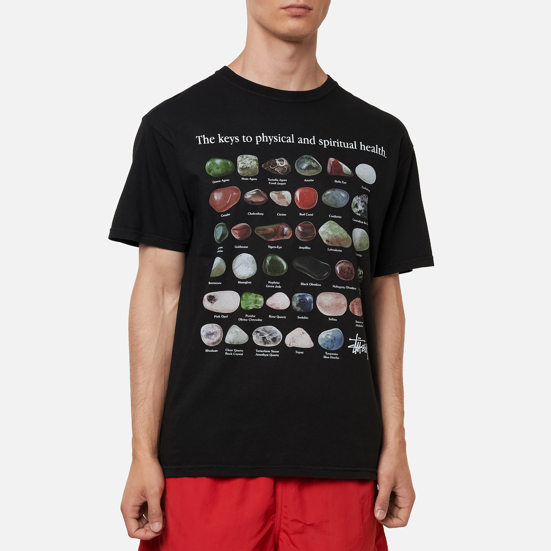 Stussy Мужская футболка Stones Pigment Dyed