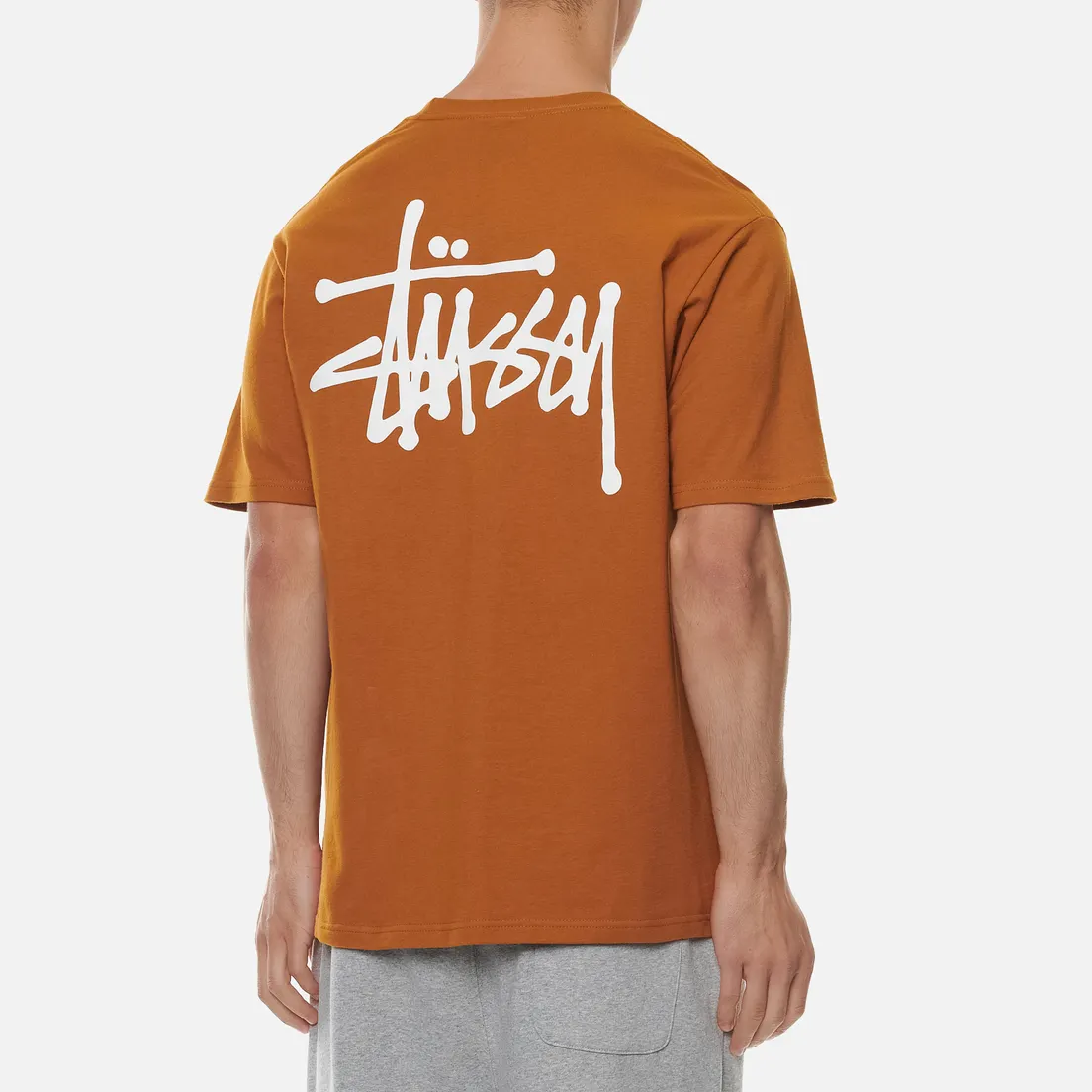 Stussy Мужская футболка Basic Stussy Print