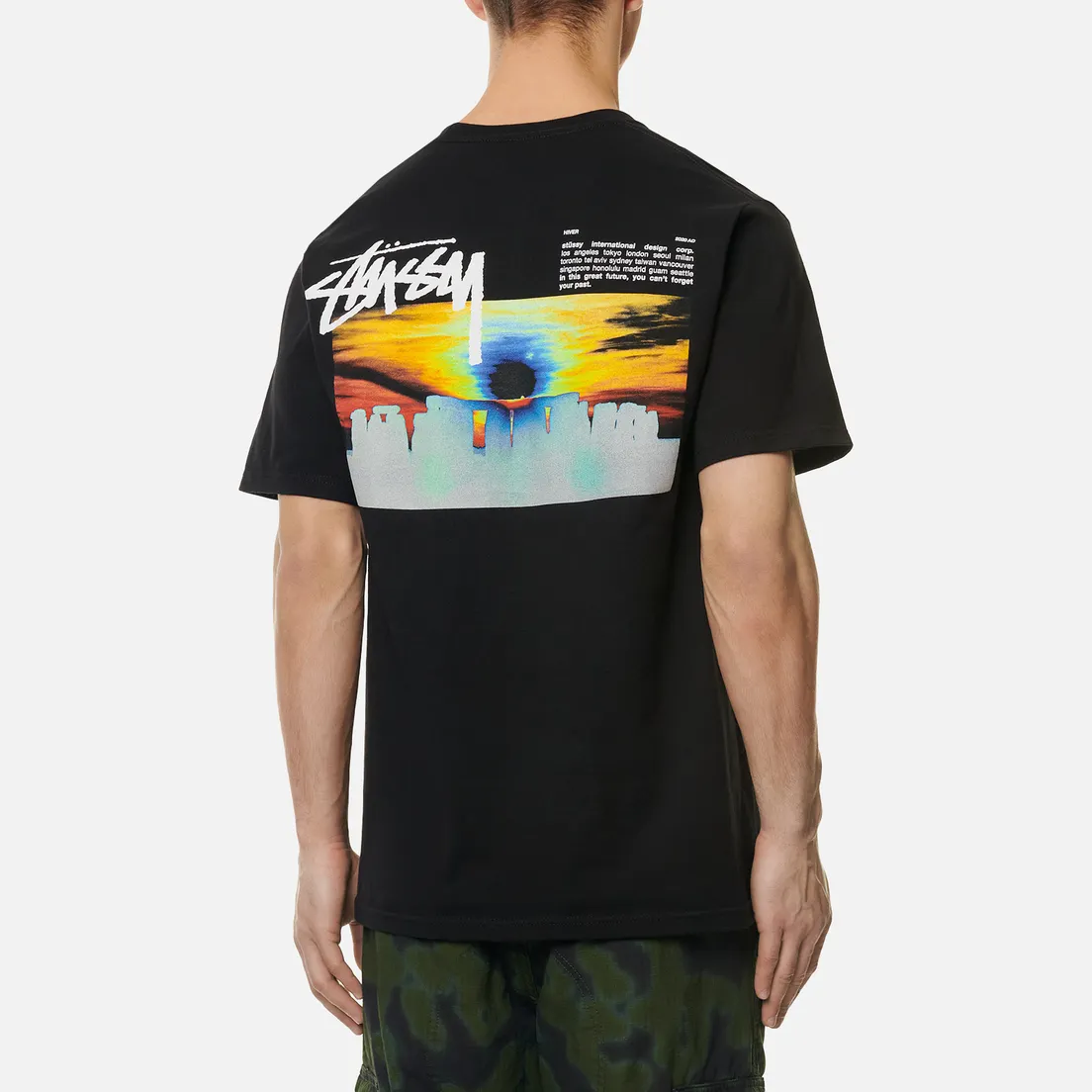 Stussy Мужская футболка Stonehenge