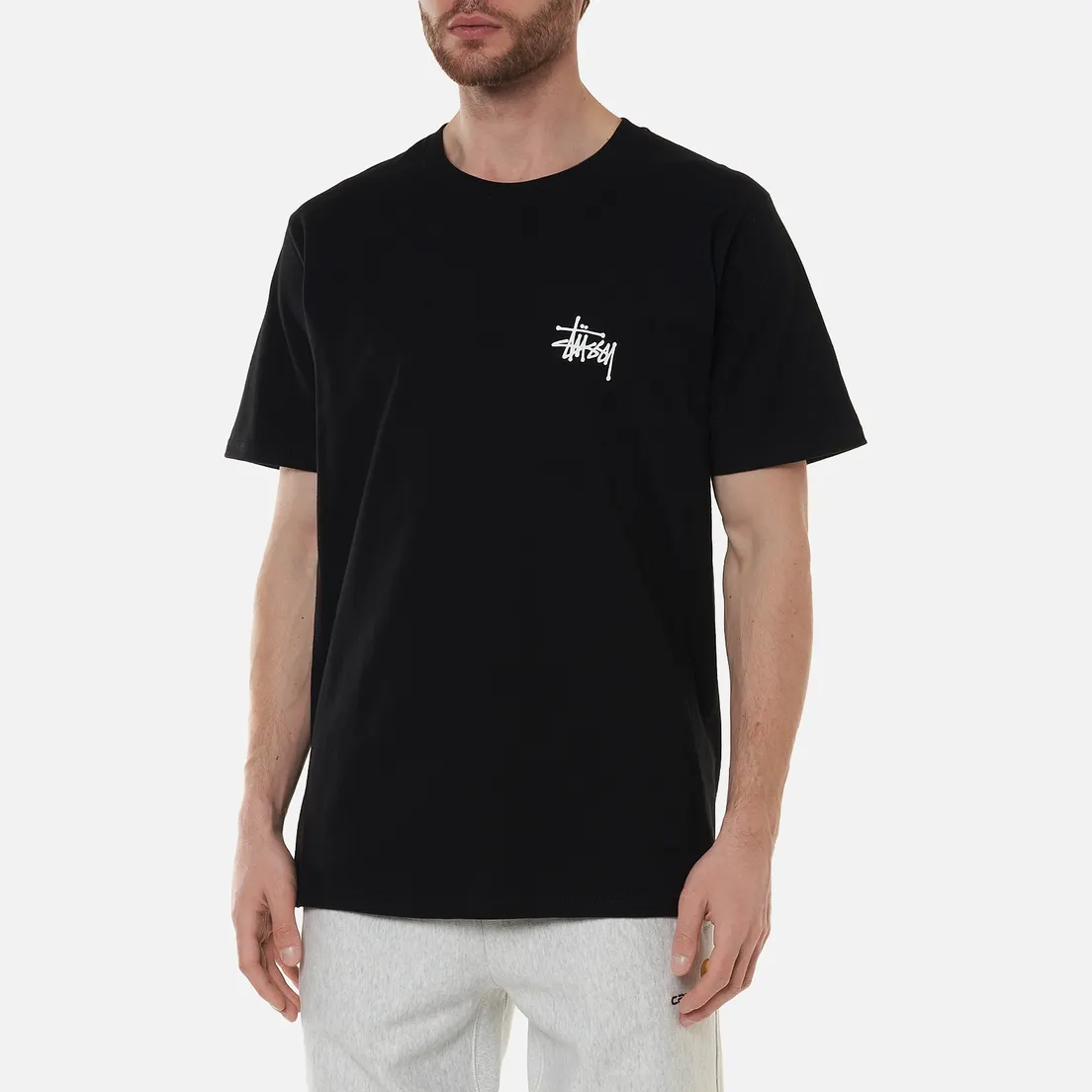 Stussy Мужская футболка SS Basic Stussy