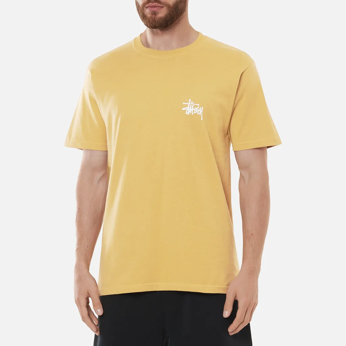 Stussy Мужская футболка SS Basic Stussy