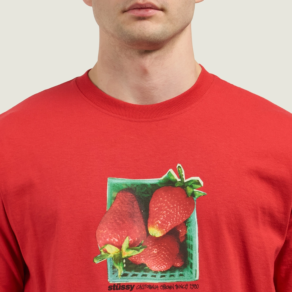 Stussy Мужская футболка Berries