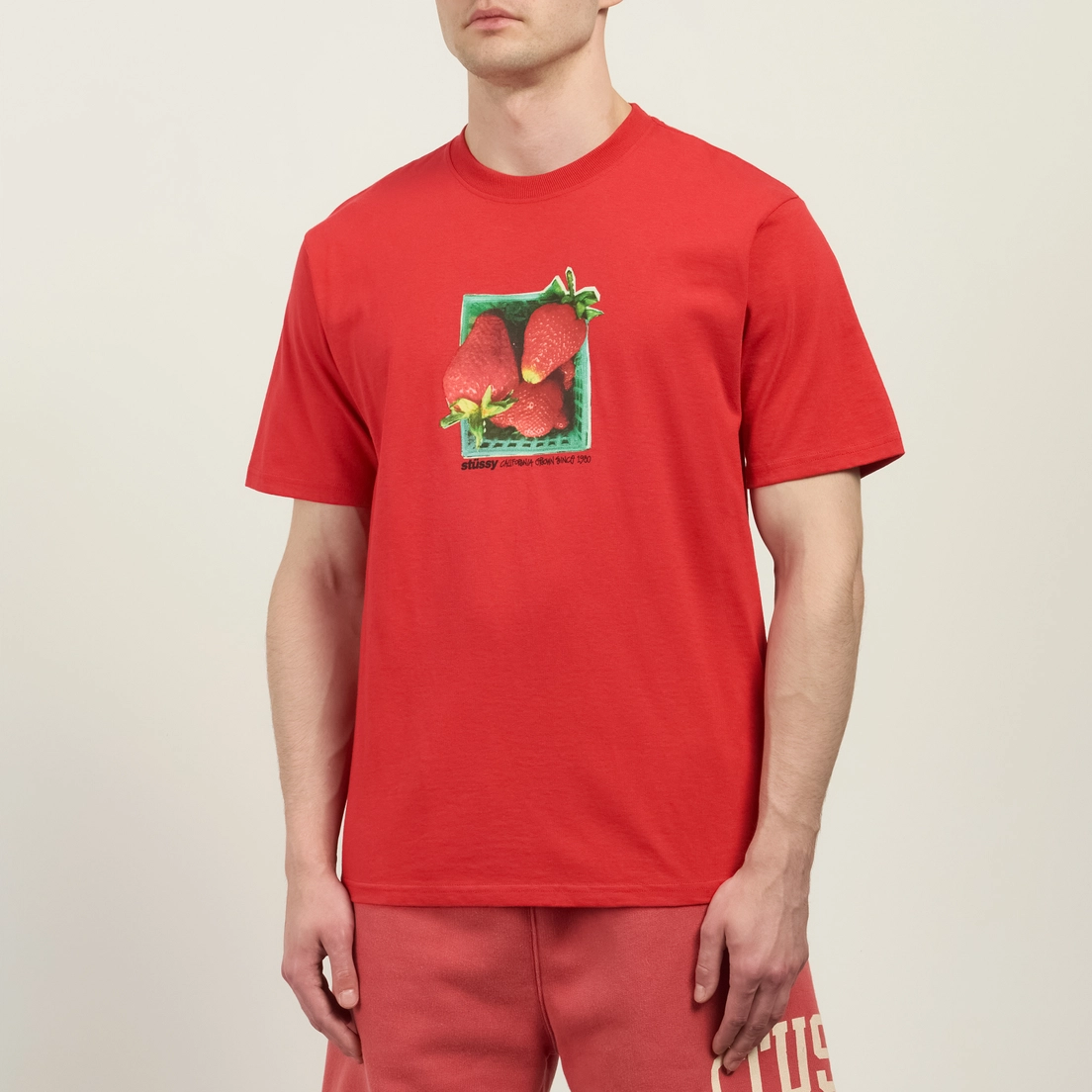 Stussy Мужская футболка Berries