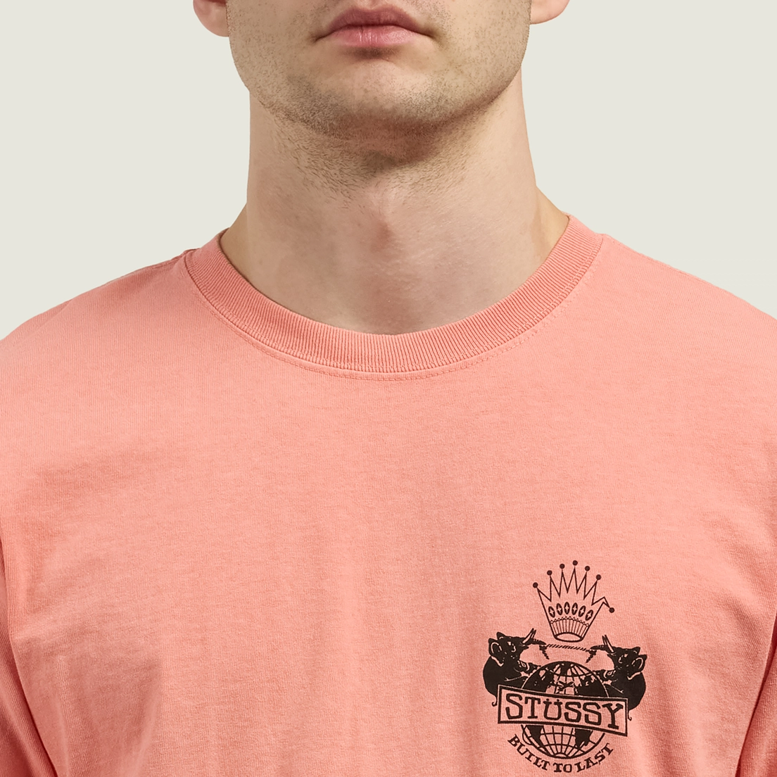 Stussy Мужская футболка Built To Last Pigment Dyed