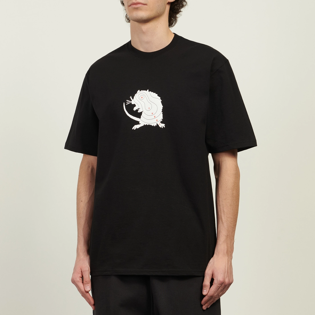 Stussy Мужская футболка Long Range