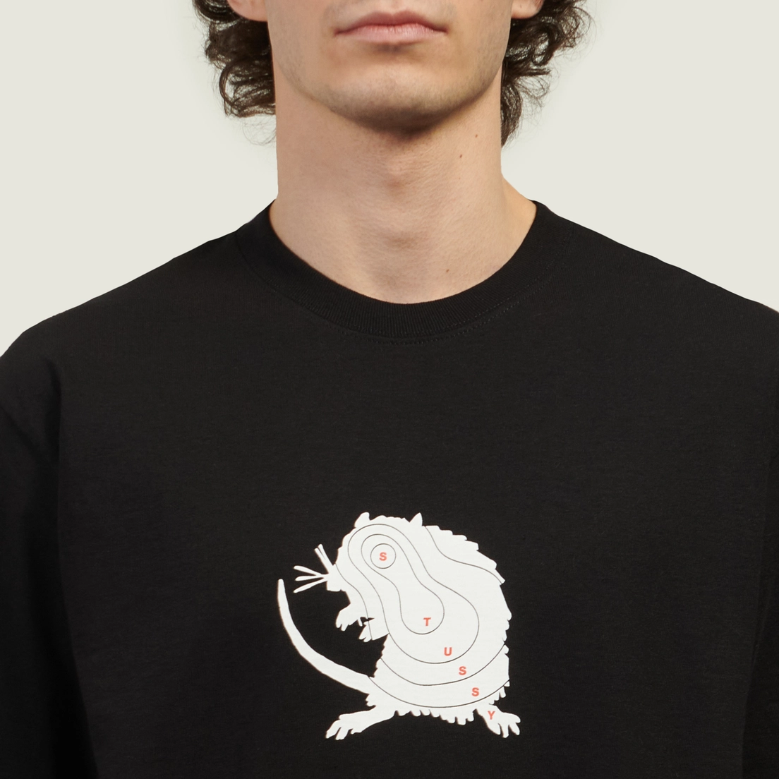 Stussy Мужская футболка Long Range