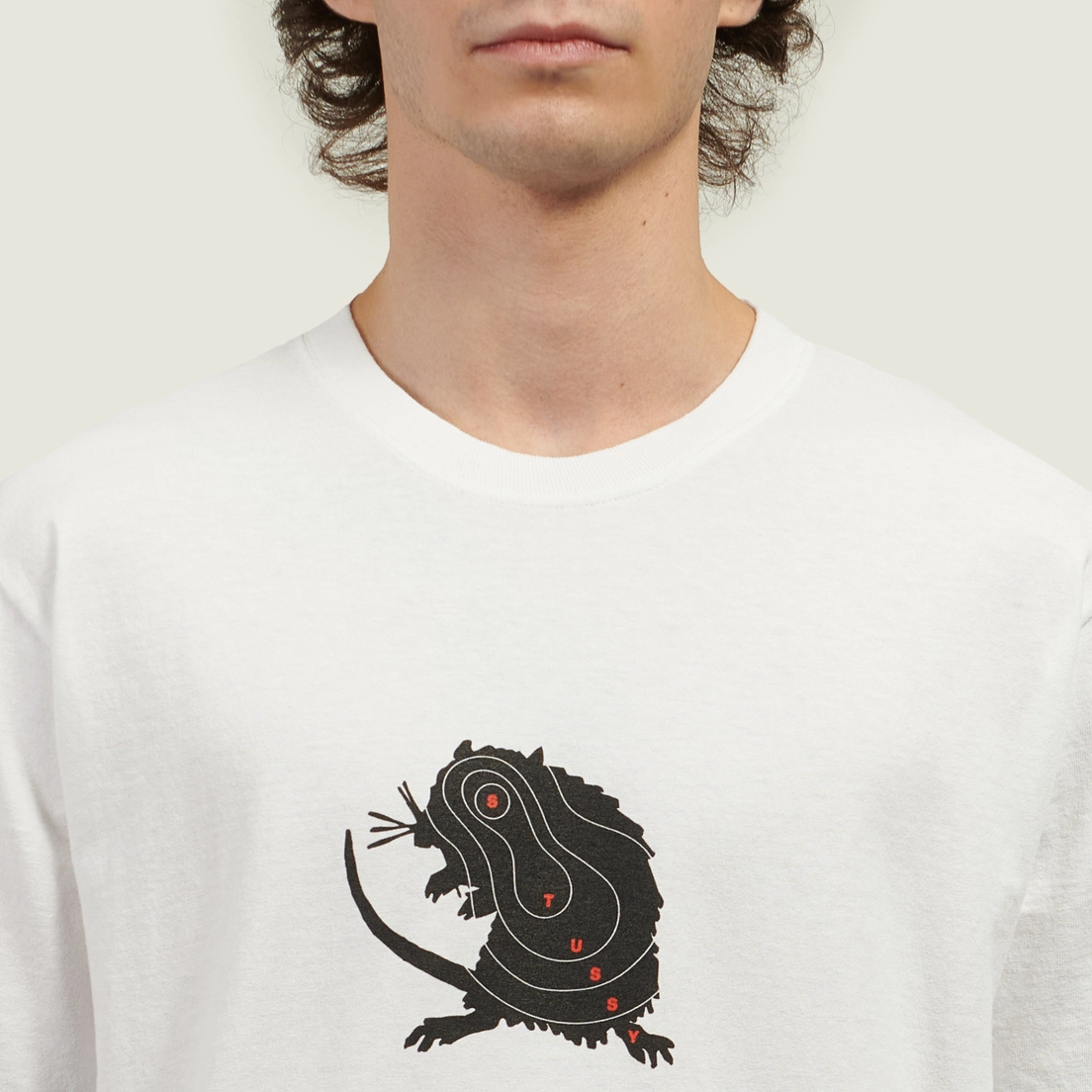 Stussy Мужская футболка Long Range