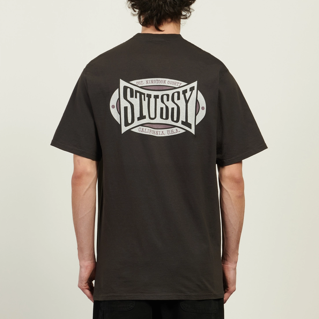 Stussy Мужская футболка Champion Oval Pigment Dyed