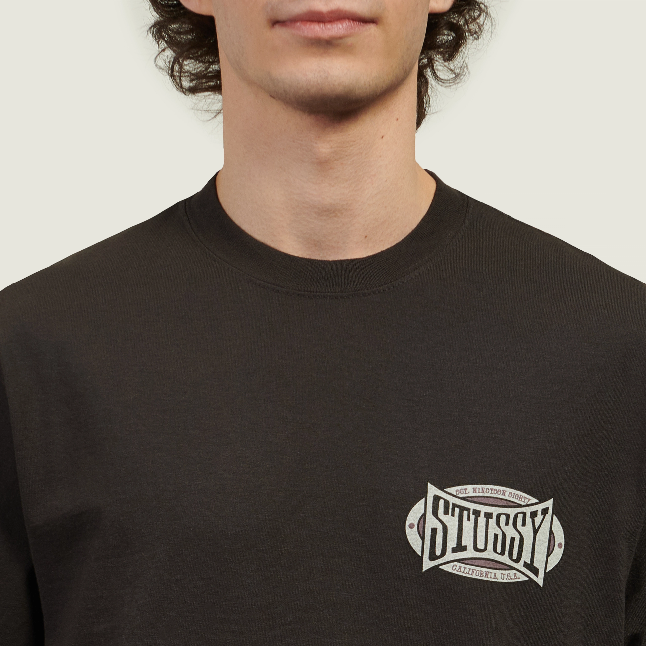 Мужская футболка Stussy Champion Oval Pigment Dyed, 1905144-0090