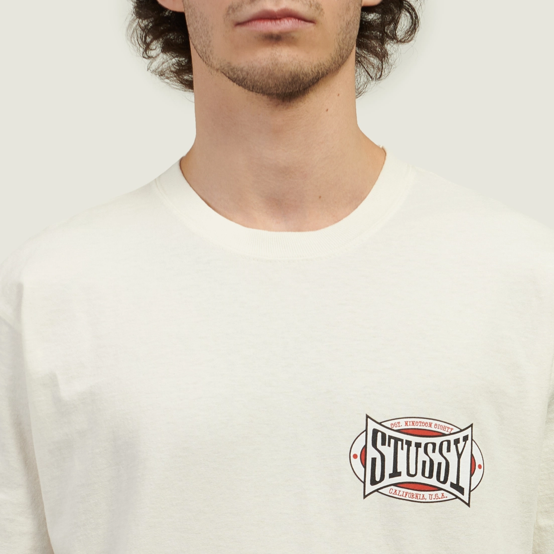 Stussy Мужская футболка Champion Oval Pigment Dyed