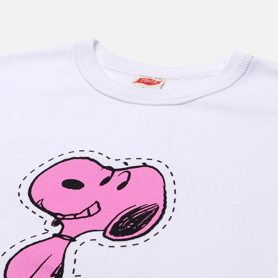 TSPTR Мужская толстовка x Peanuts P Is For