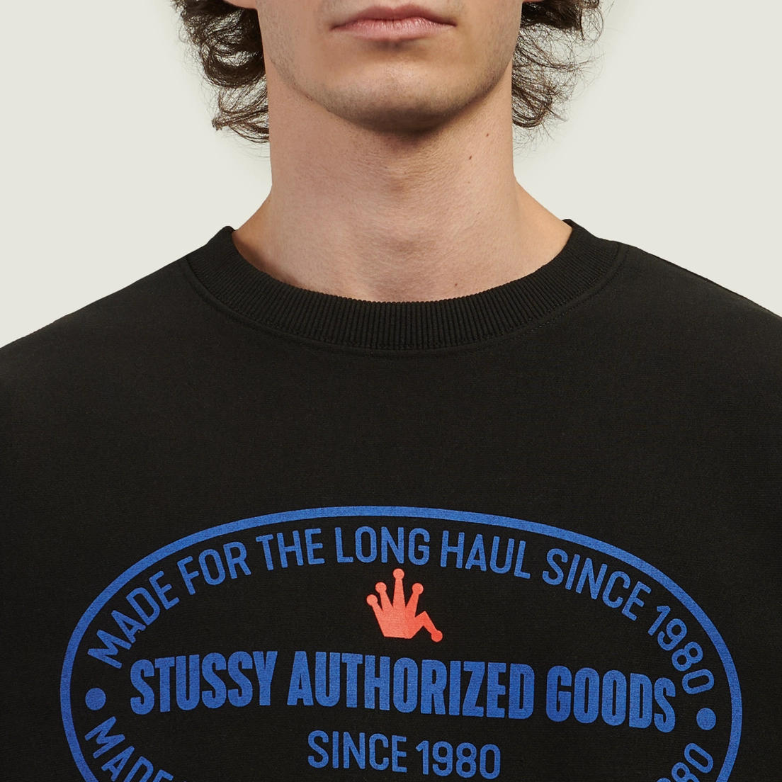 Stussy Мужская толстовка Authorized Crew