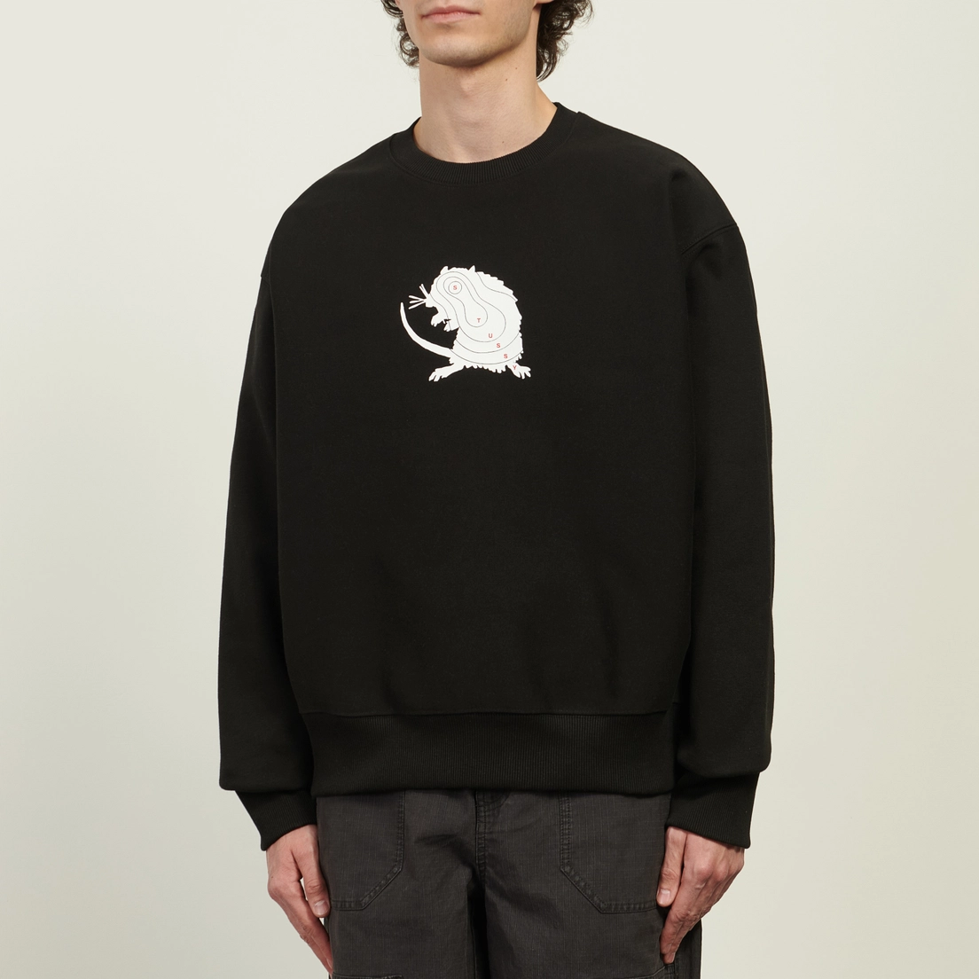 Stussy Мужская толстовка Long Range Crew