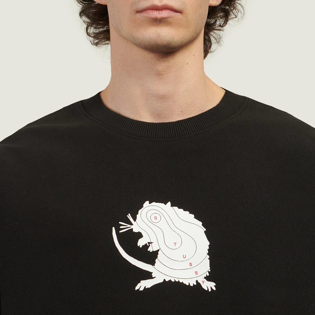 Stussy Мужская толстовка Long Range Crew