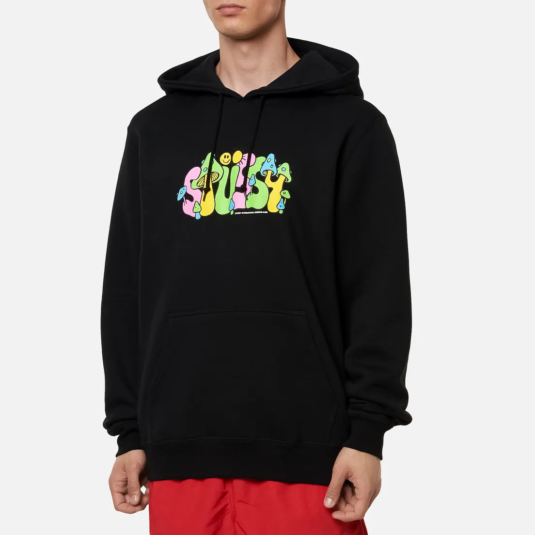 Stussy Мужская толстовка Colorado Hoodie