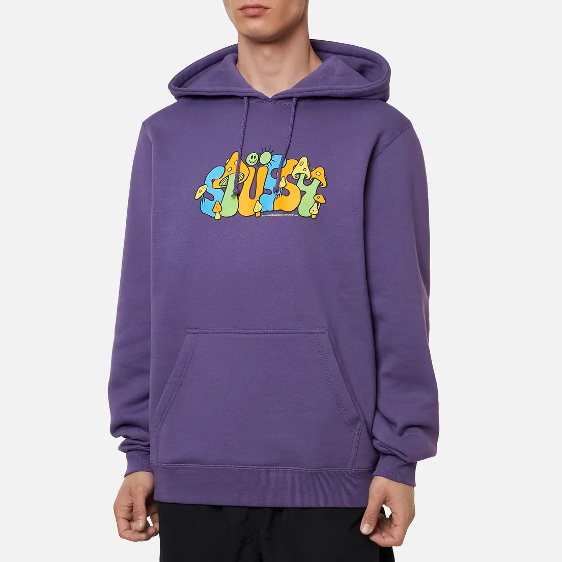 Stussy Мужская толстовка Colorado Hoodie
