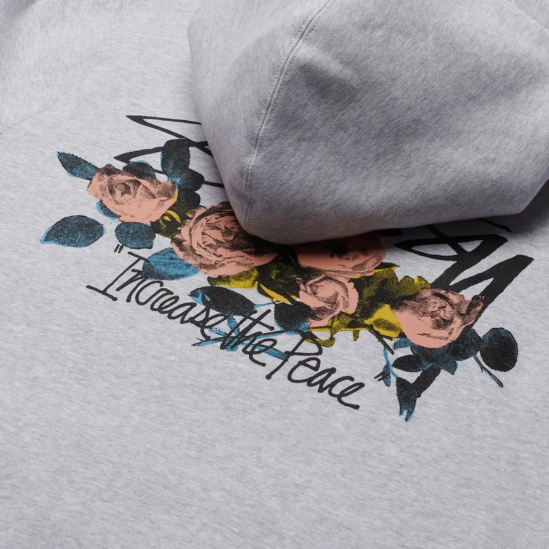 Stussy Мужская толстовка ITP Roses Hoodie