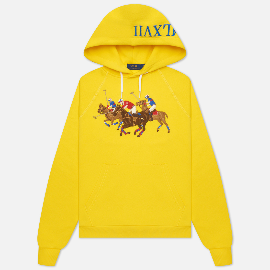 polo ralph lauren seasonal hoodie