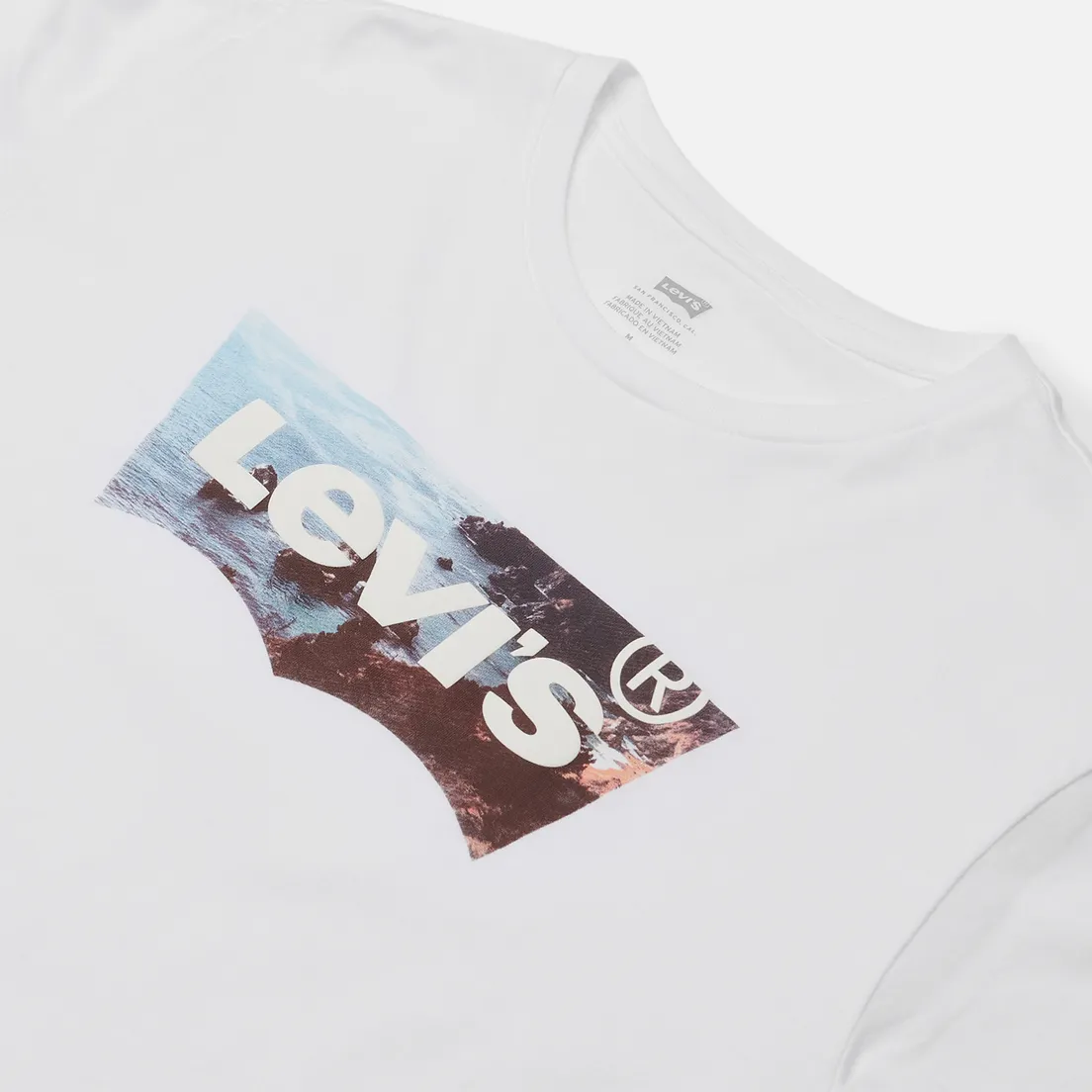 Levi's Мужская футболка Housemark 2 Graphic