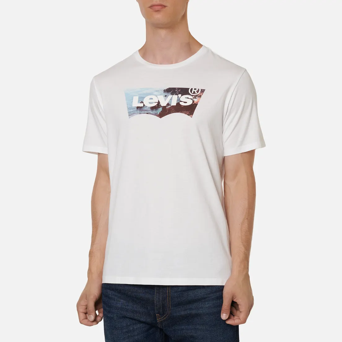 Levi's Мужская футболка Housemark 2 Graphic
