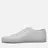 Common Projects