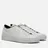 Common Projects