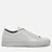Common Projects
