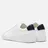 Common Projects